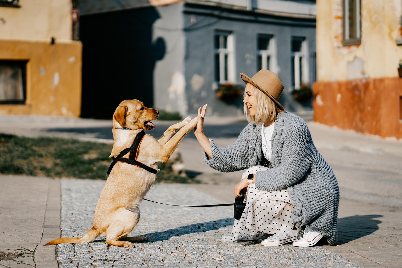 Woman in hat and dress high-fives a sitting yellow dog outdoors on a sunny day.