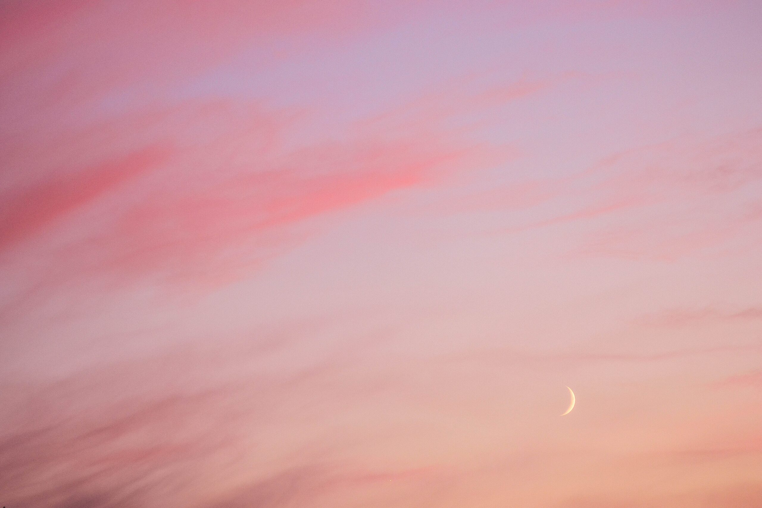 new moon in pink sky at sunrise