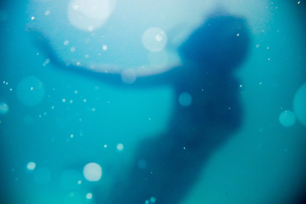 silhouette of woman under water
