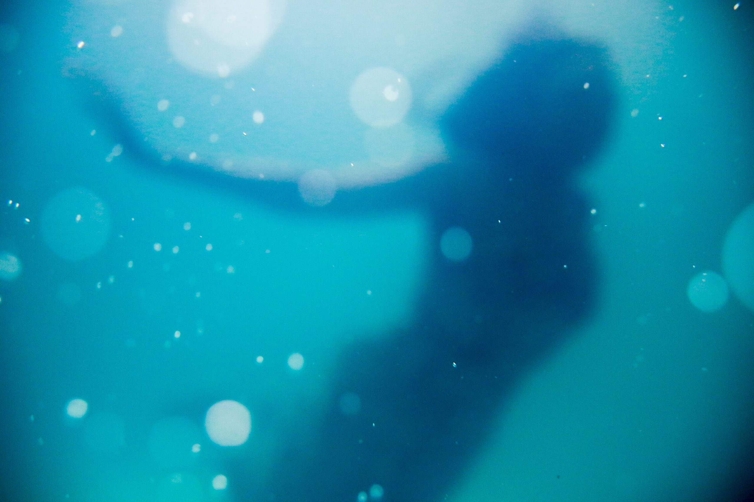 silhouette of woman under water
