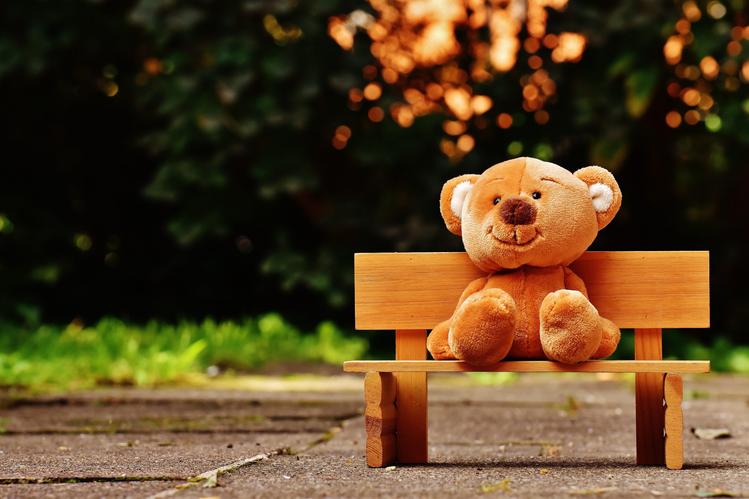 teddy bear on a small bench