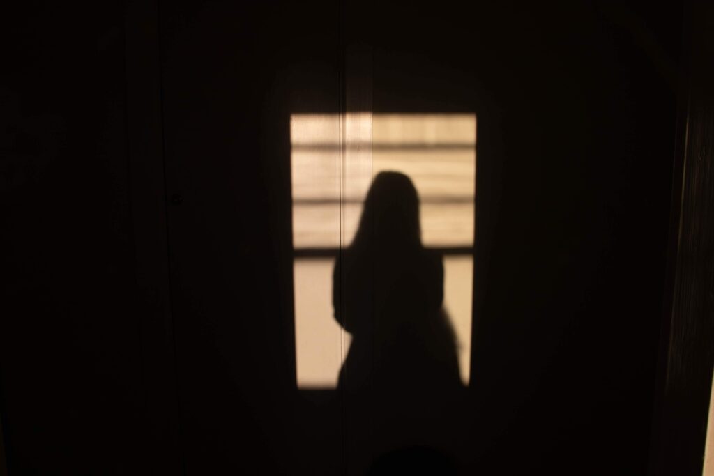 shadow of veiled woman in a window