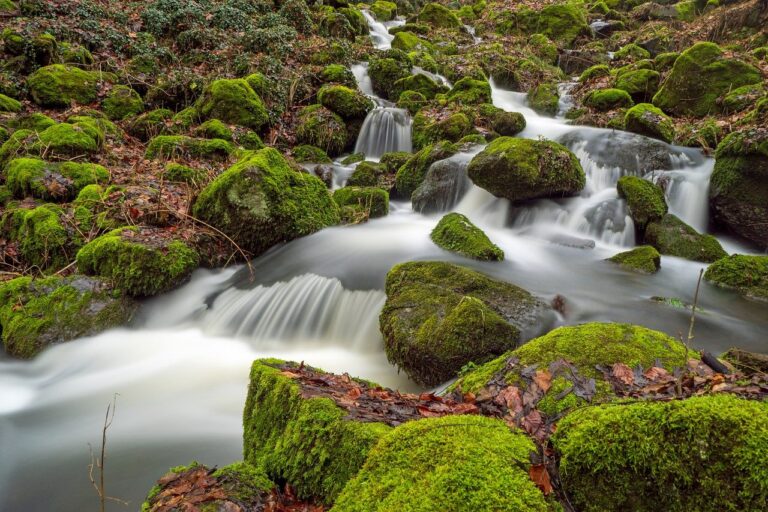 water running down a mountain through mossy stones