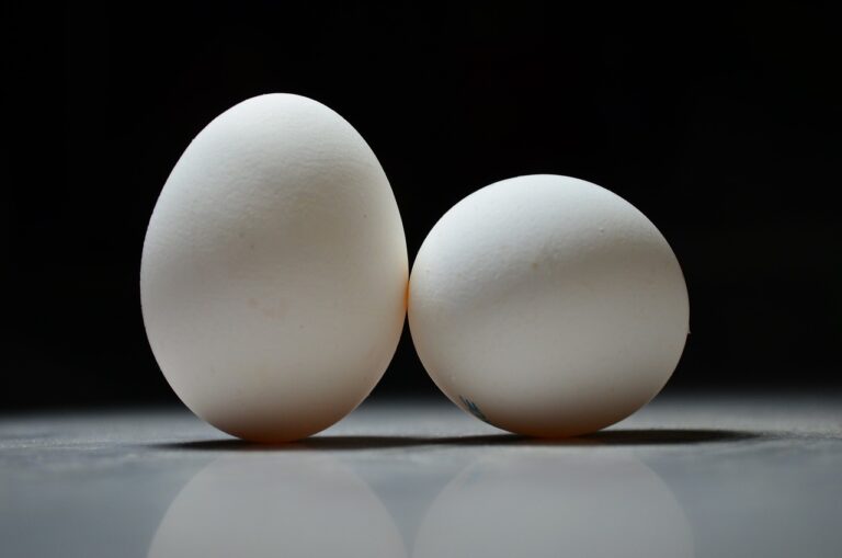 close up of two eggs on a flat surface