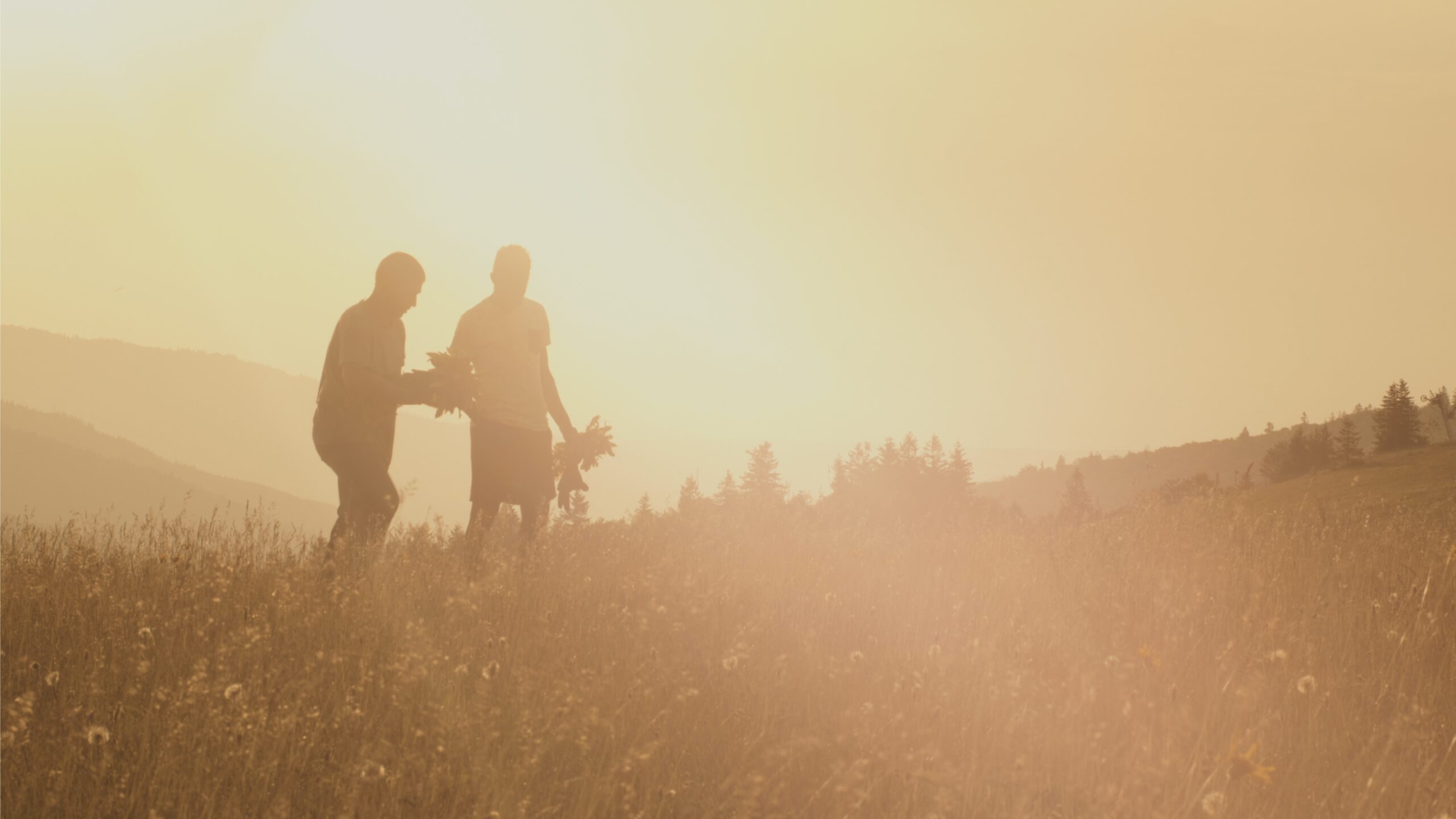 field of wheat in gauzy sunlight with two figures next to each other working the field