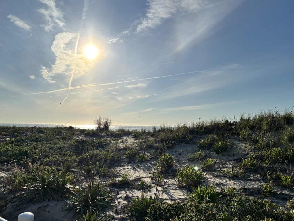 Sun shines over grassy sand dunes with blue sky and wispy clouds by a beach.