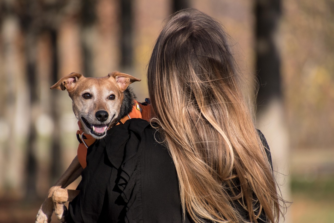 Woman with long hair carries a smiling dog wearing an orange harness, outdoors on a sunny day.