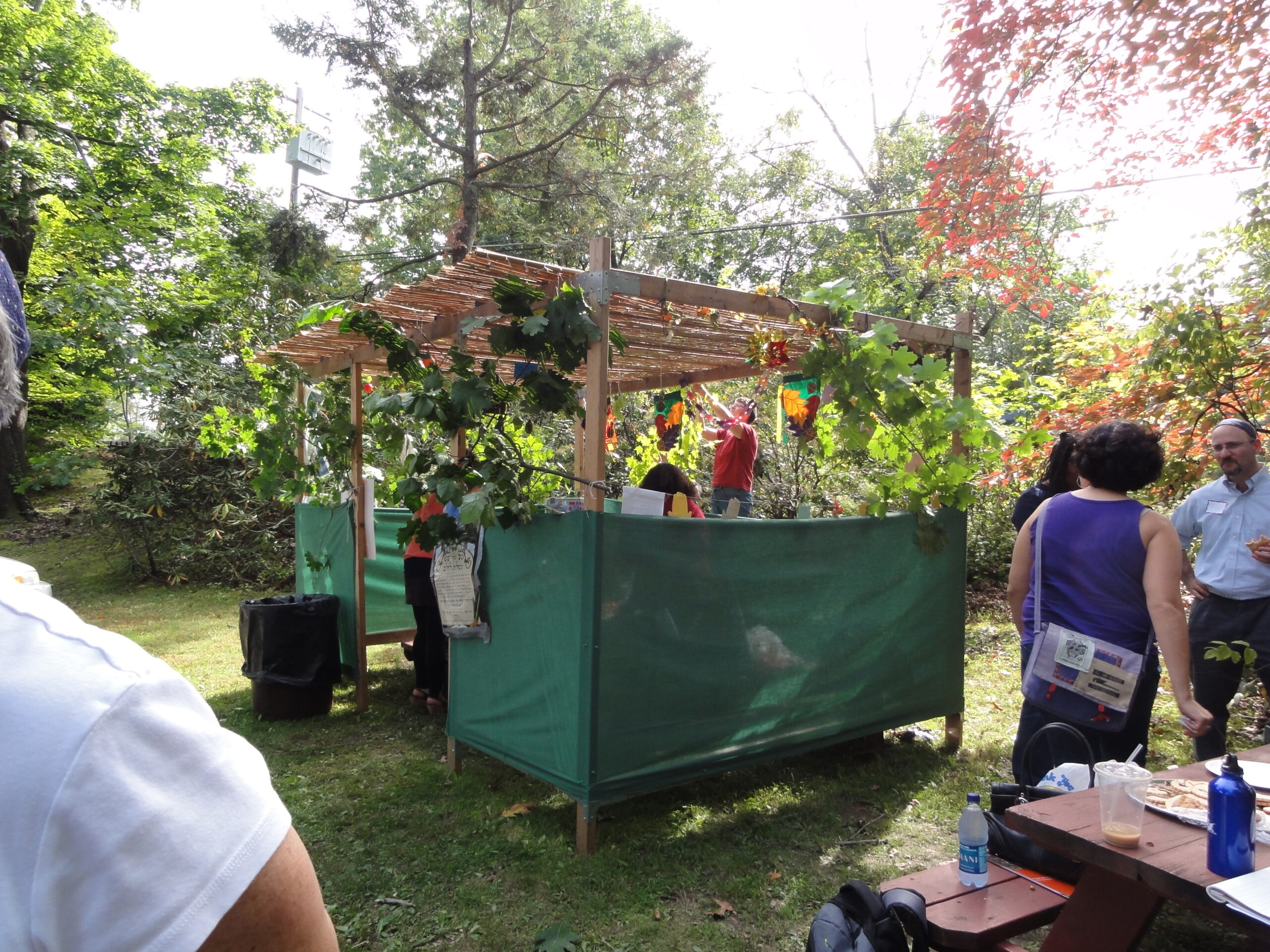 sukkah in sunlight near trees