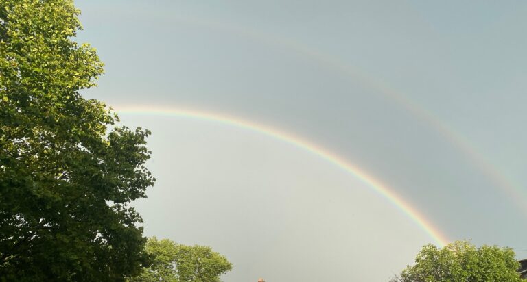 A double rainbow arches across the sky above green trees.