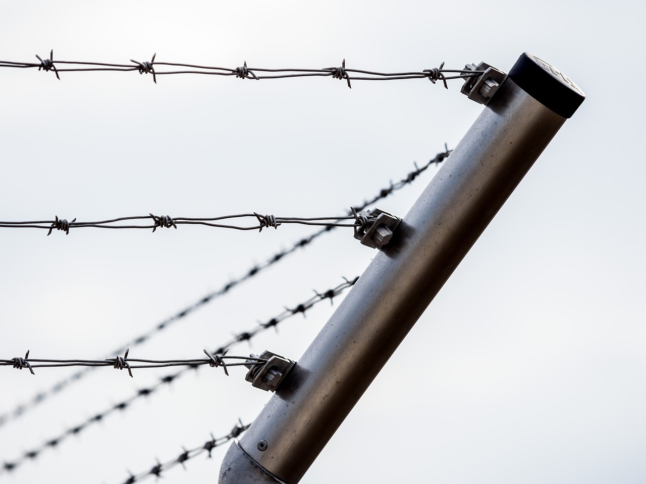 the corner of a barbed-wire fence