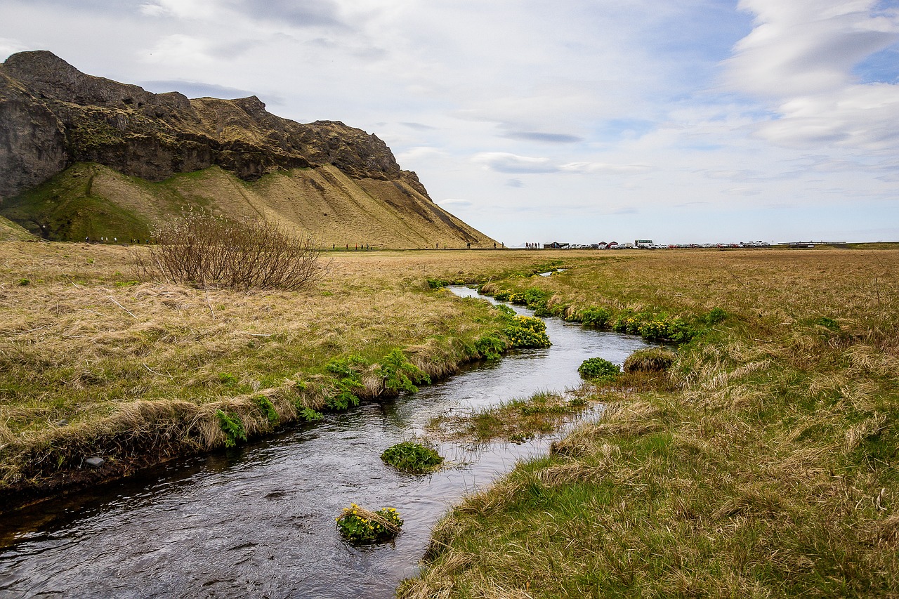 a brook runs along the middle of a field with mountains in the distance