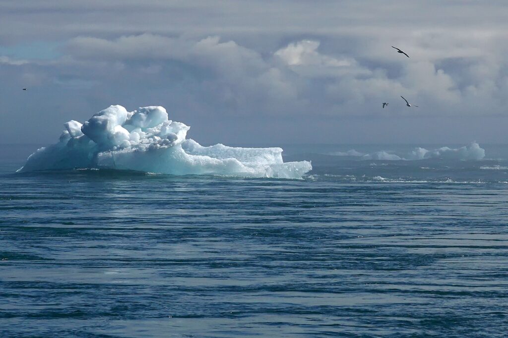 an iceberg floats in the water