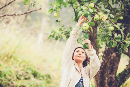 A Kavannah for Nisan: Finding the First Fruit Tree in You