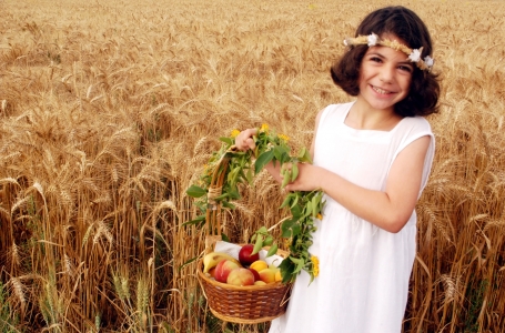 Your Gifts, Our Promise: For Shavuot