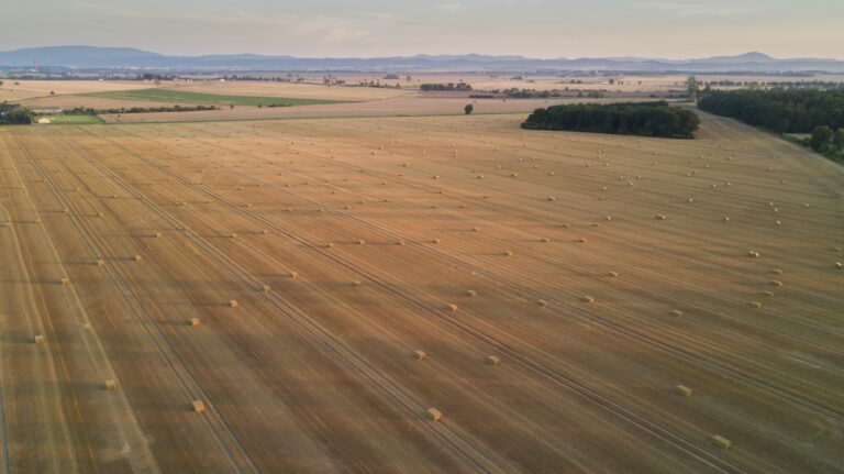Aerial view of a vast harvested field with scattered hay bales, bordered by distant mountains under a clear sky.