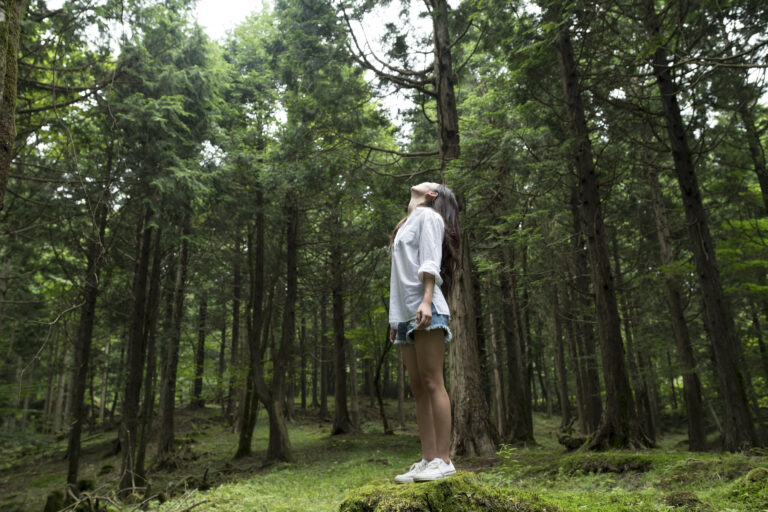 A woman stands on moss in a forest, looking up at tall trees surrounding her.