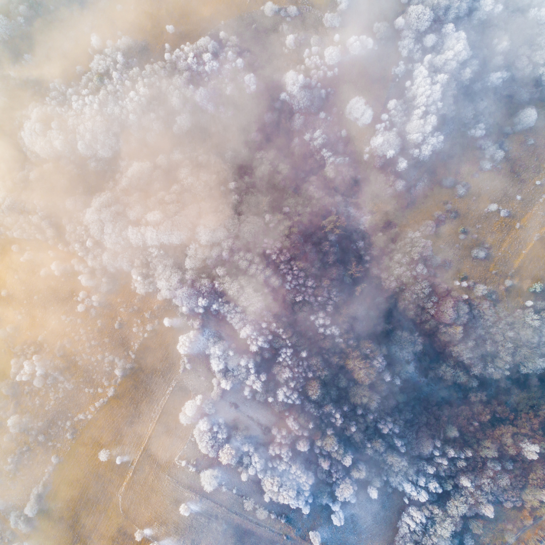 Aerial view of a forest covered in fog and smoke, with wispy clouds creating a misty, atmospheric scene.