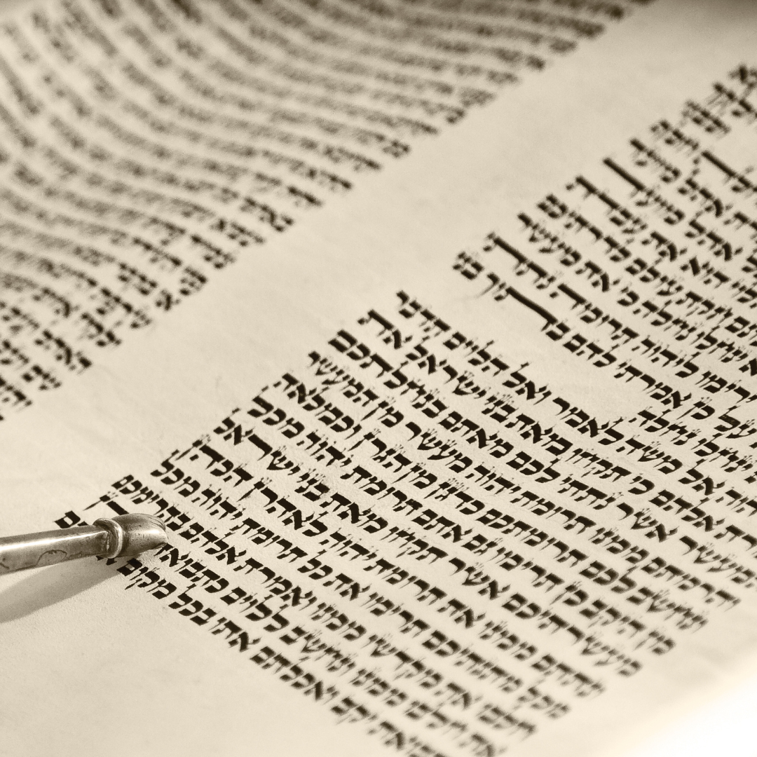 a yad points to a Torah scroll