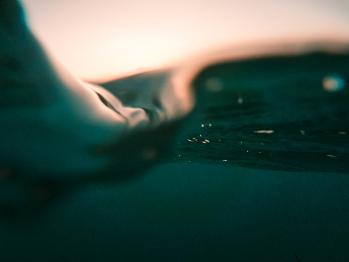 Abstract view beneath and above water surface at sunset, with soft green and orange hues.