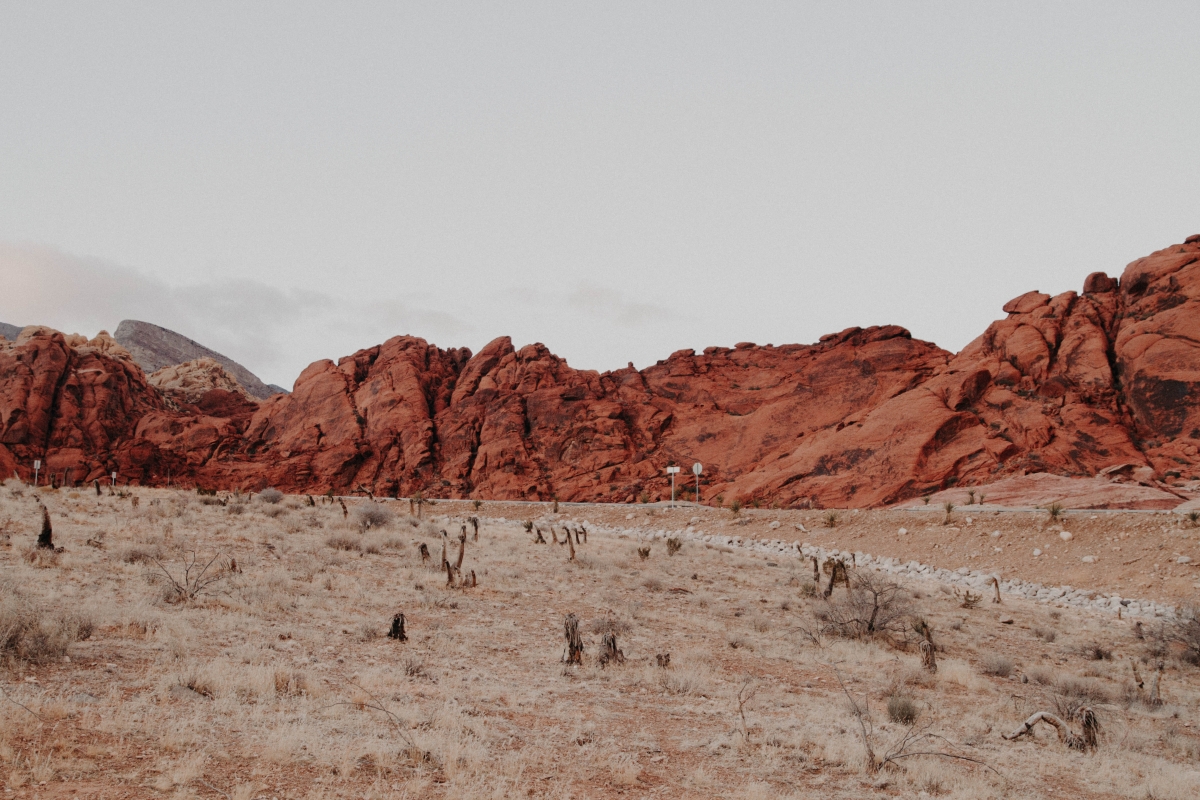 Arid desert landscape with red rock formations under a clear sky. Sparse vegetation is visible in the foreground.