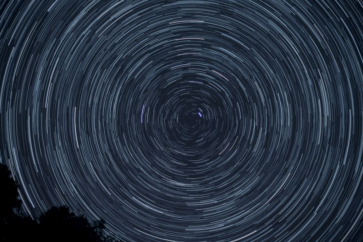 Long-exposure photo of star trails forming circular patterns in the night sky above silhouetted trees.