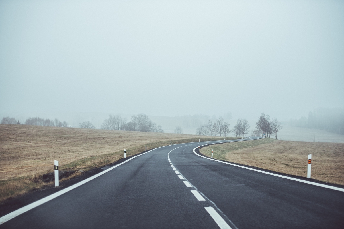 Foggy road curving through a rural landscape with leafless trees and overcast skies.