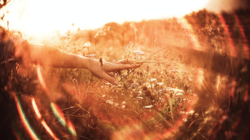 woman's white hand outstretched in golden field of wheat with circle of light surrounding