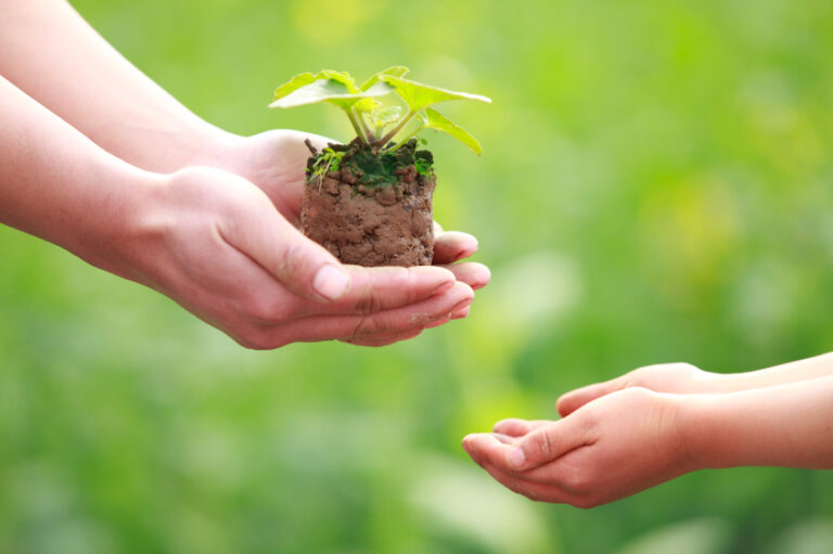 white adult hands holding small plant and handing it to small white child hands