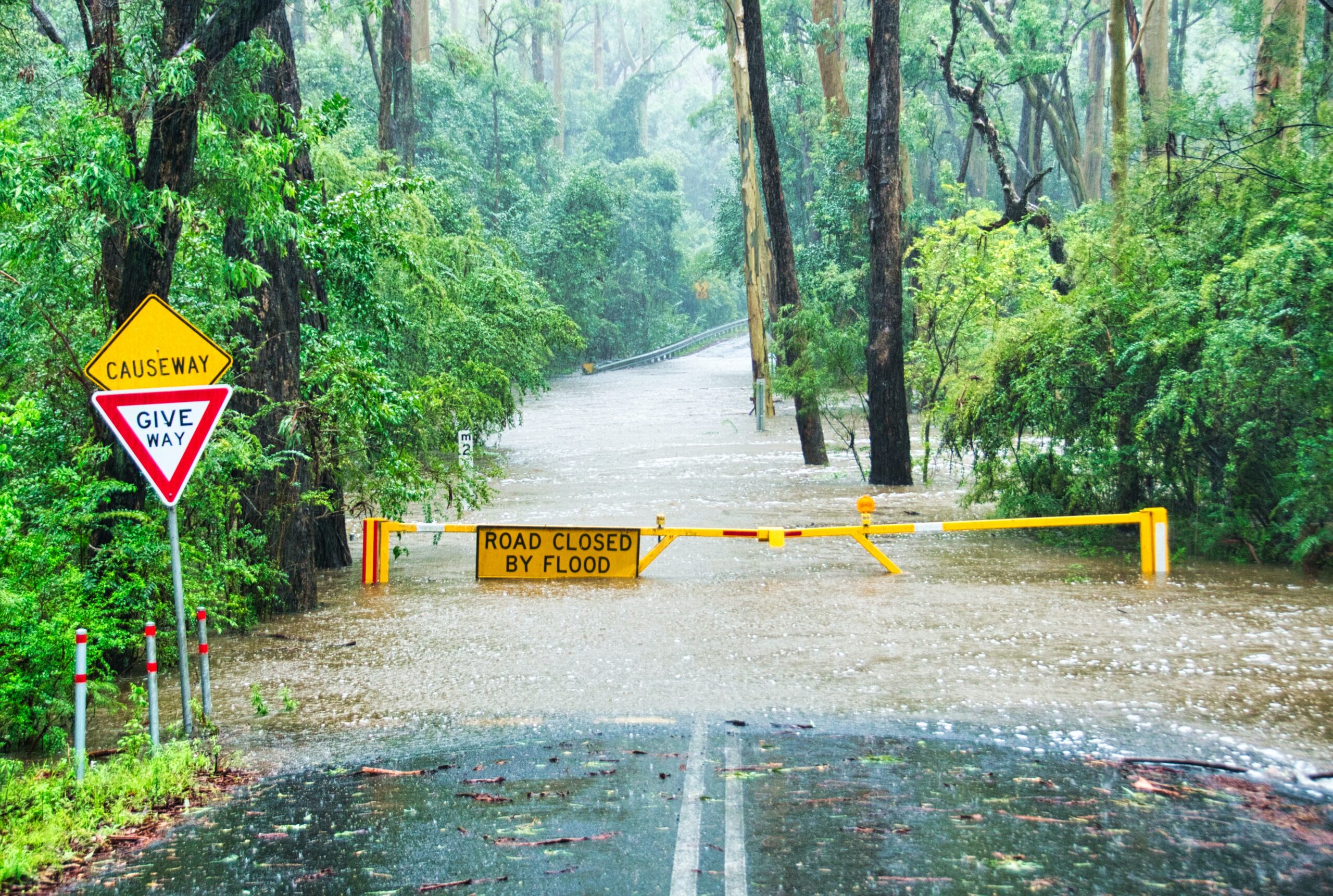 flooded street in forest with sign that reads road closed by flood and another sign that reads causeway and another sign that reads give way