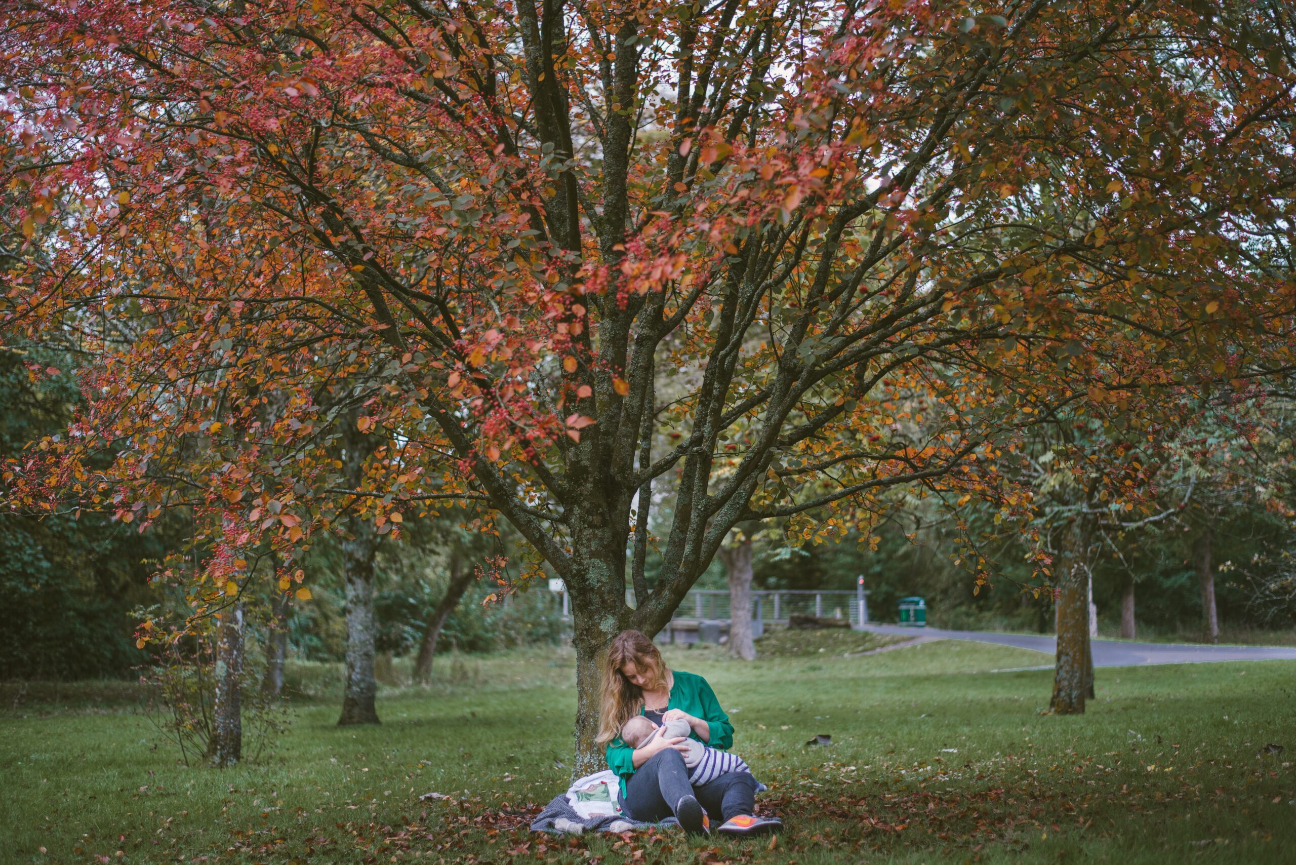 woman shown from afar sitting under tree with red leaves breastfeeding a baby. The woman is white with soft blond wavy hair.