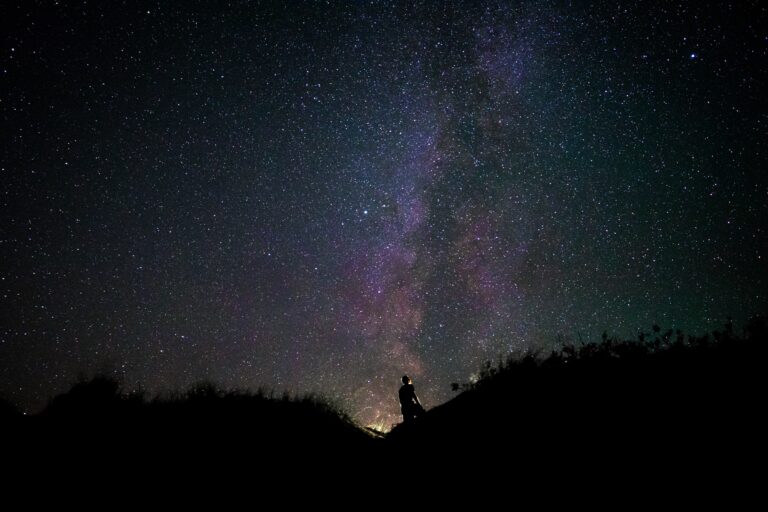 a woman silhouetted against a starry night sky