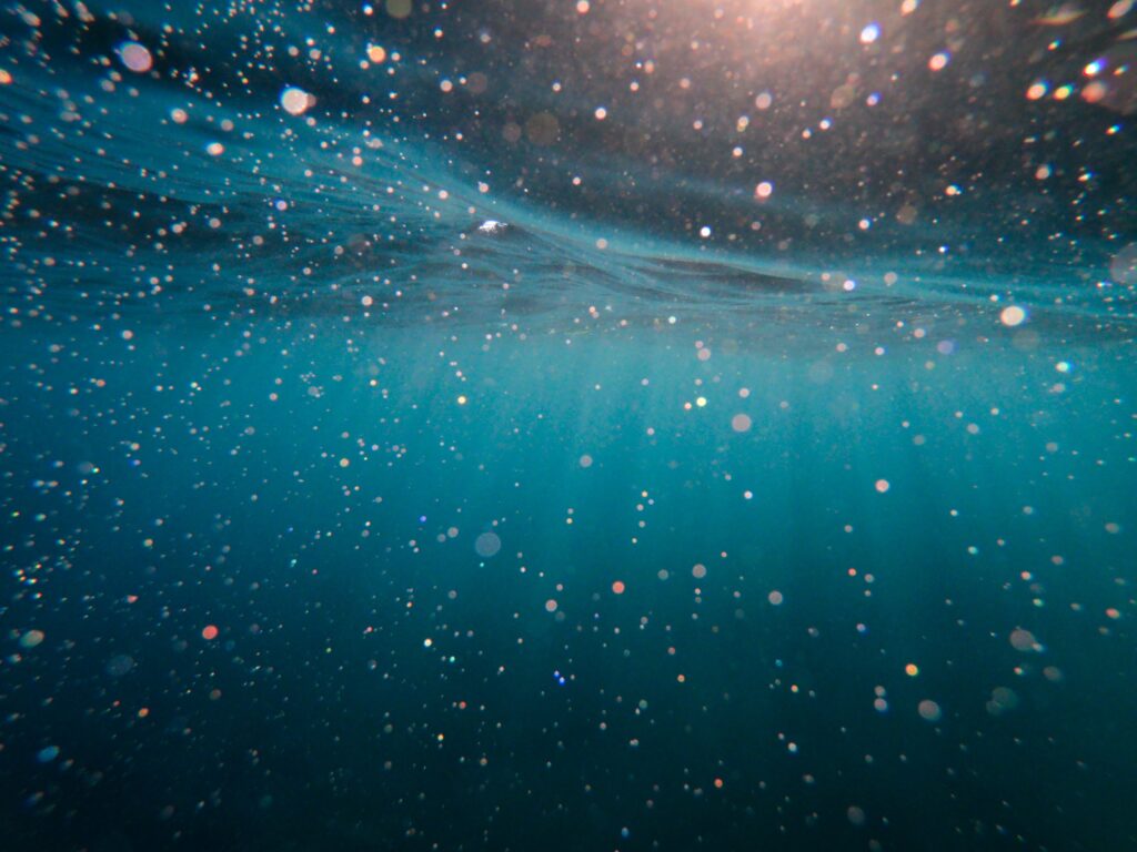 dark water with bubbles of light