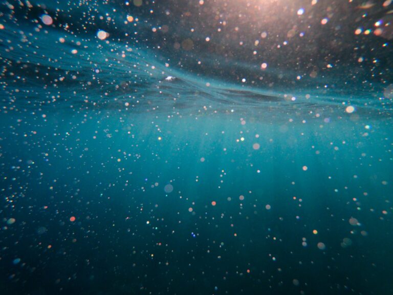 dark water with bubbles of light