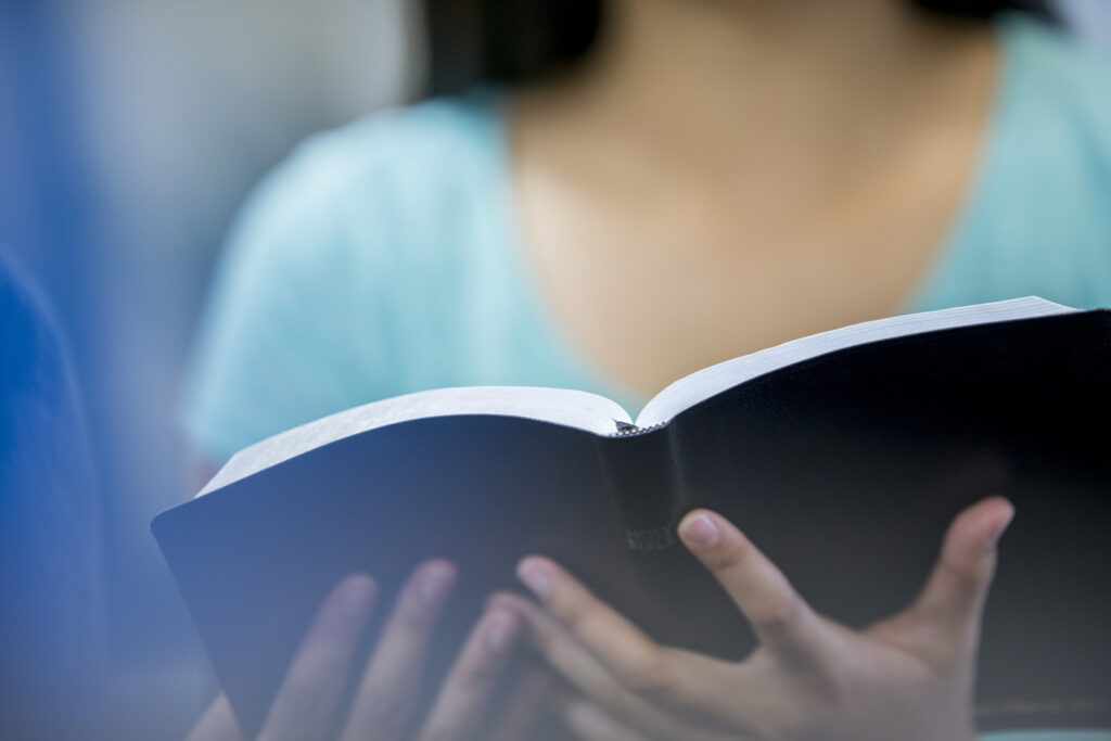 woman holding a book