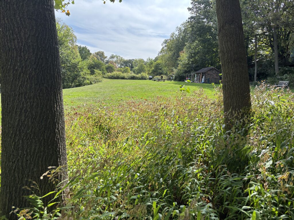 Two trees frame a grassy field with a small wooden building and benches under a partly cloudy sky.