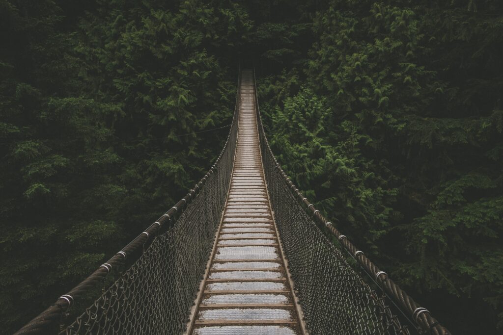Narrow rope bridge in a middle of a forest