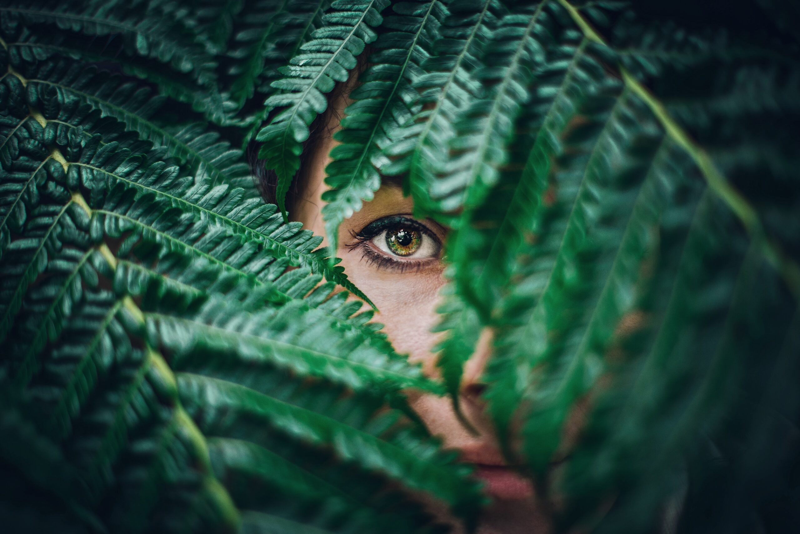 womans eye visible behind giant ferns