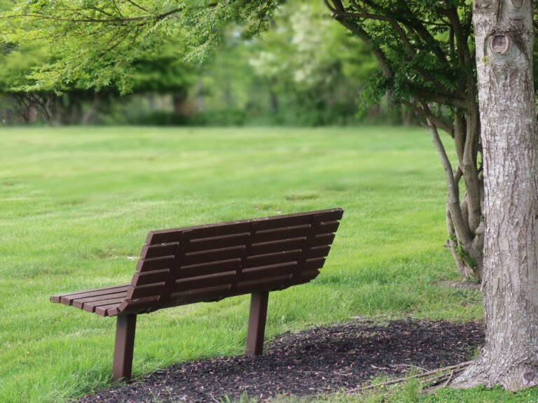 an empty bench facing a wide green lawn