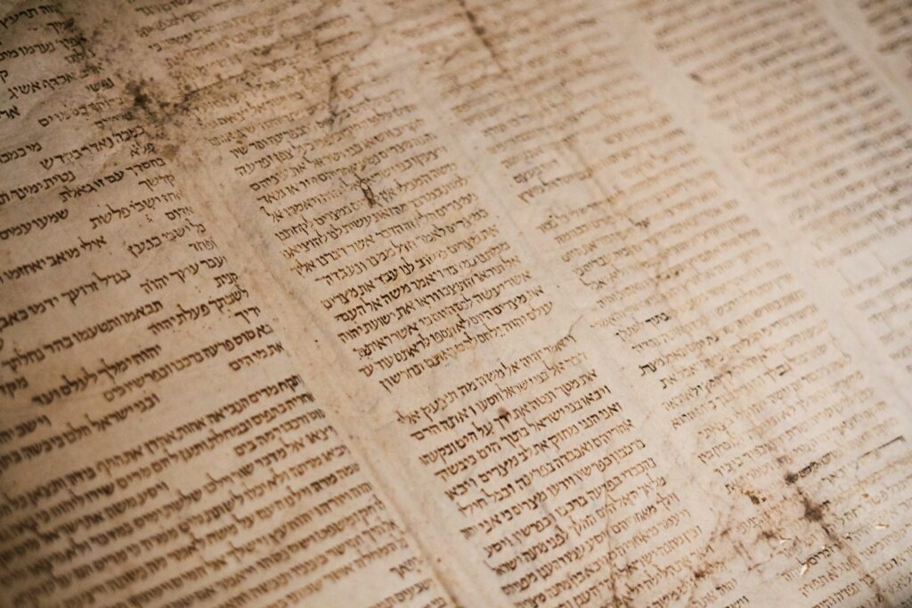 a withered Torah scroll