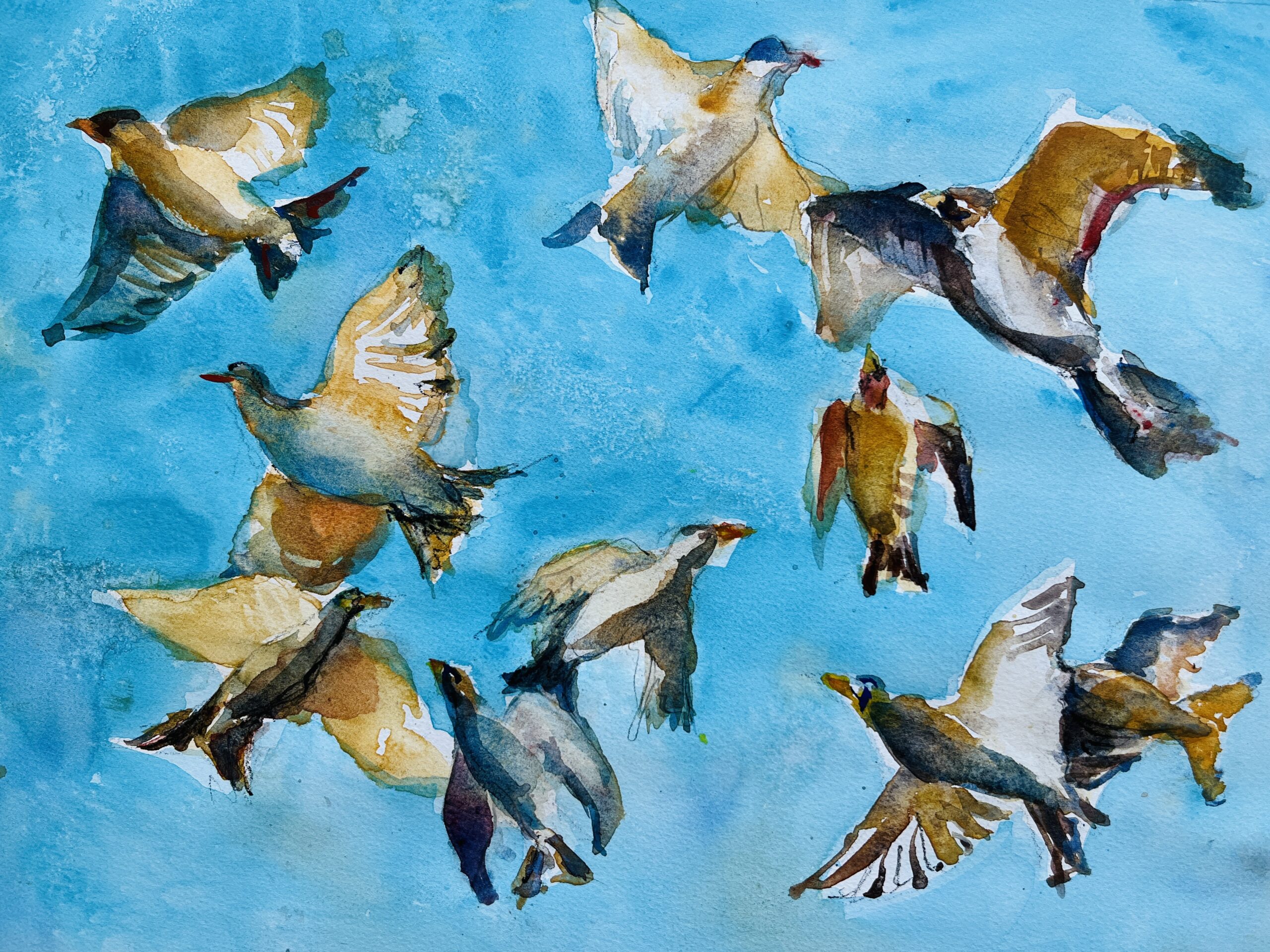 birds fly towards each other against a blue sky