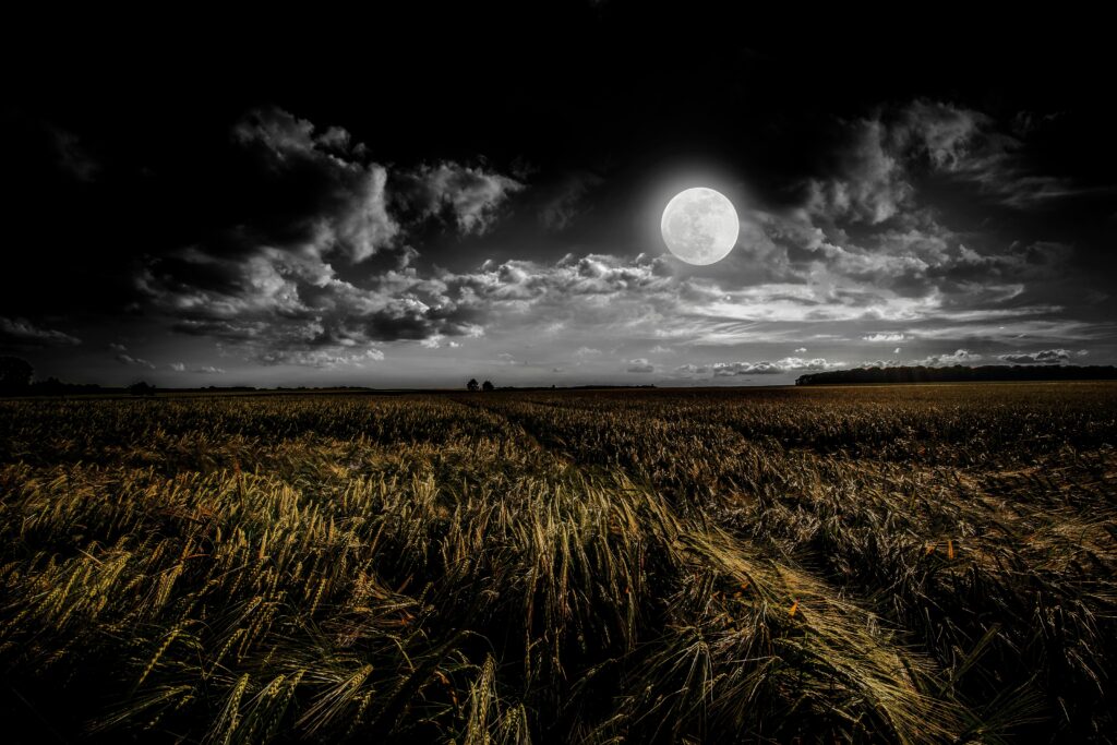 The moon over a wheatfield in a night sky