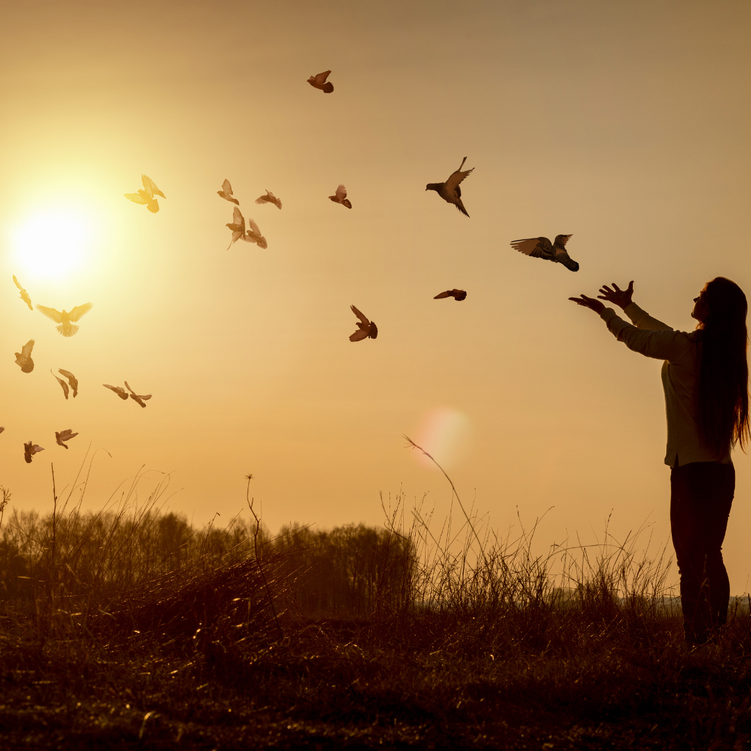 A person opens her hands and birds fly into the sky