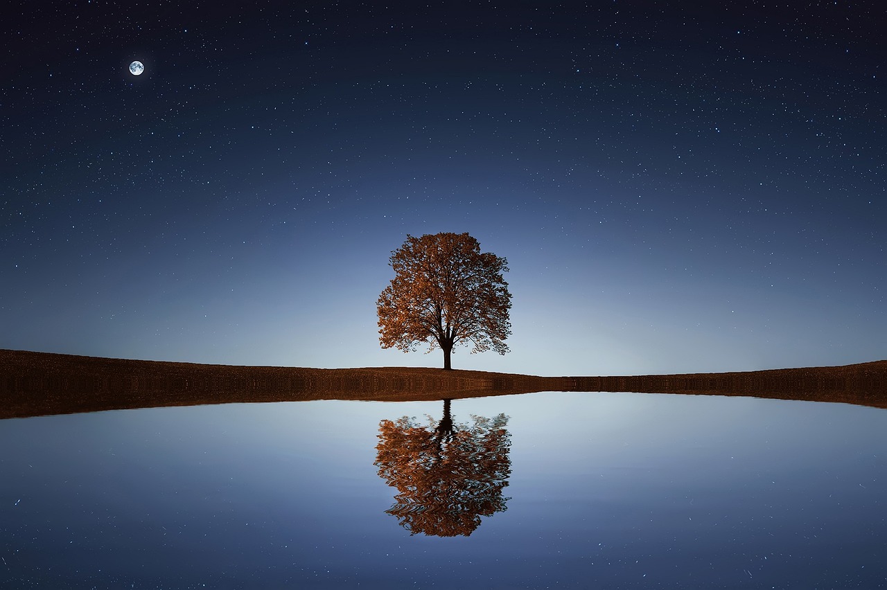 A tree across from a lake against a dark starry night