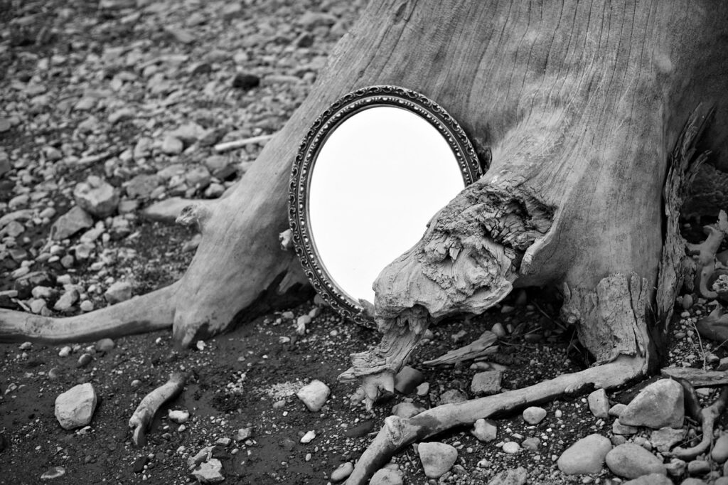 a mirror set in a tree
