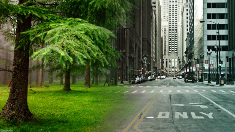 a split image, on the left are trees and grass, on the right are buildings and a road