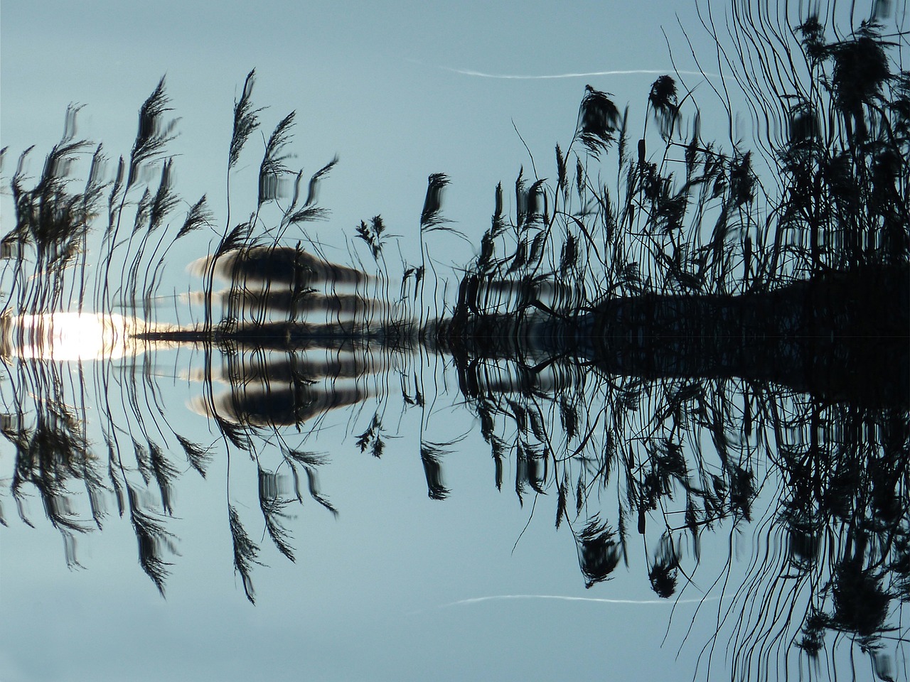 reflection of reeds in the Sea