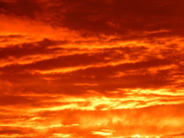 a fiery sunset of orange and yellow