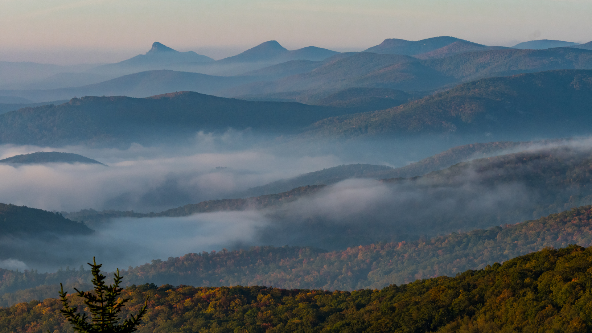 Rolling, mist-covered mountains at sunrise with autumnal forest in the foreground.