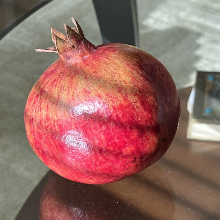 a pomegranate sits on a table, the sun shines on it