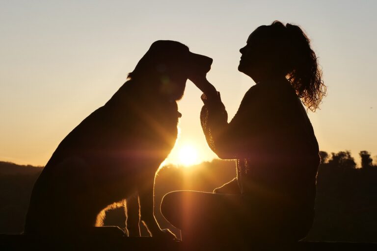 in shadow: profile of a dog and woman, locking eyes